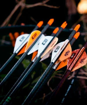 ARROWS
